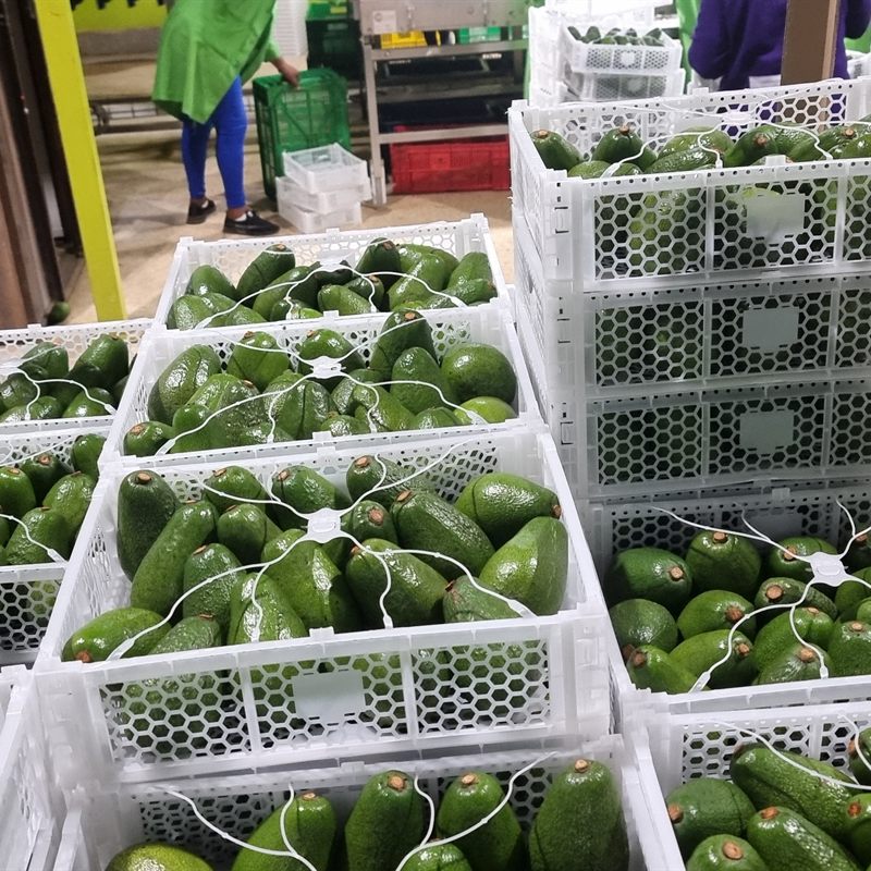 Packing facility